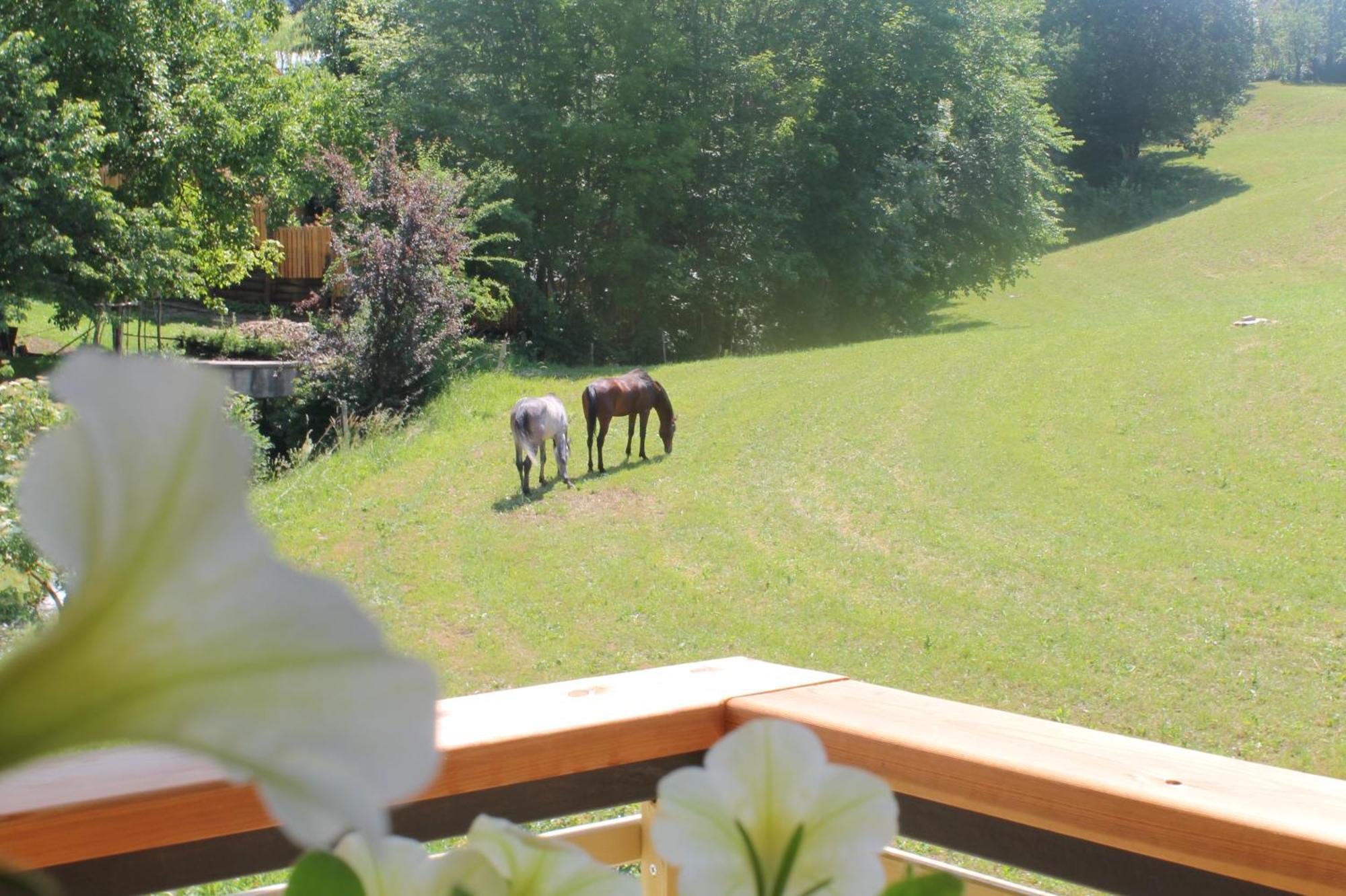 House Gabrijel With Four Seasons Outdoor Kitchen Villa Bled Eksteriør bilde